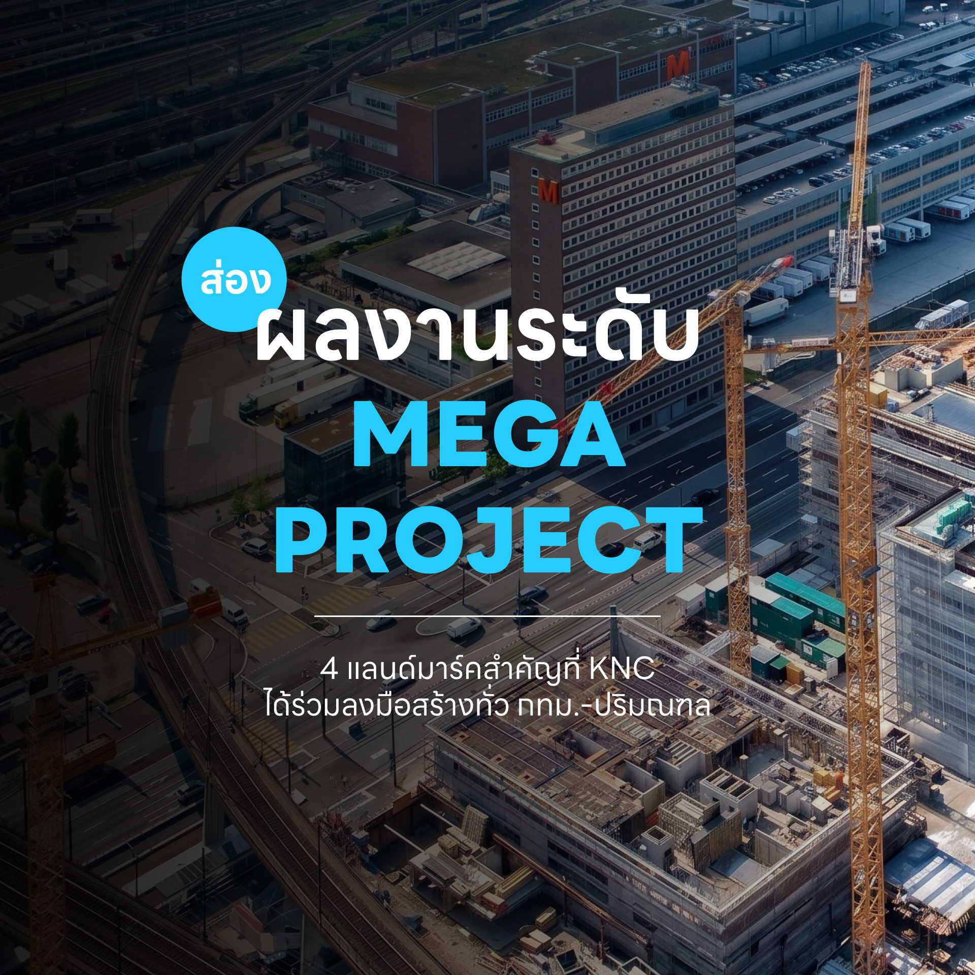 ผลงานระดับ Mega Project